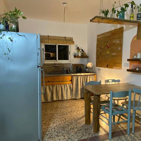 Juha'S Guesthouse - Zarqa Bay Jisr ez Zarqa Dış mekan fotoğraf