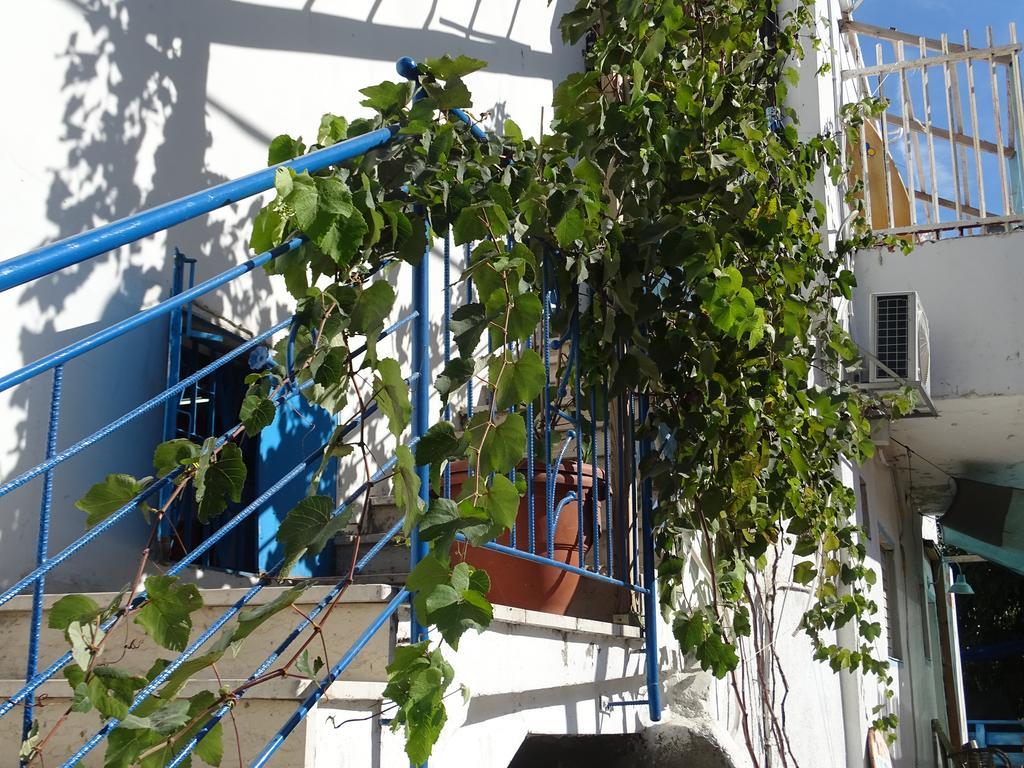 Juha'S Guesthouse - Zarqa Bay Jisr ez Zarqa Dış mekan fotoğraf