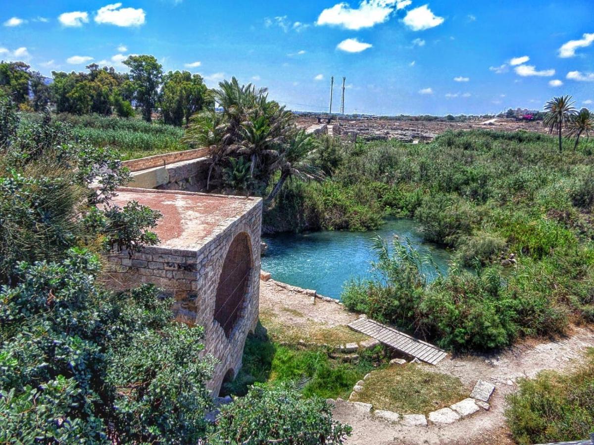 Juha'S Guesthouse - Zarqa Bay Jisr ez Zarqa Dış mekan fotoğraf
