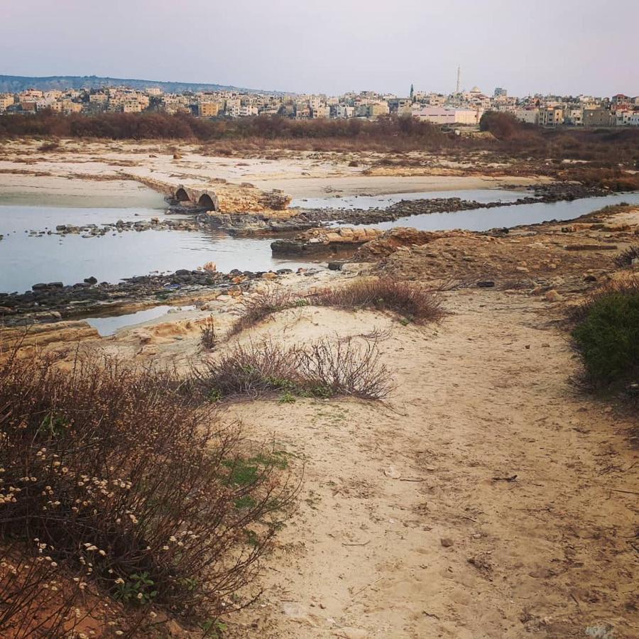 Juha'S Guesthouse - Zarqa Bay Jisr ez Zarqa Dış mekan fotoğraf